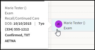 Patient hover panel example showing curser hovering over patient appointment.